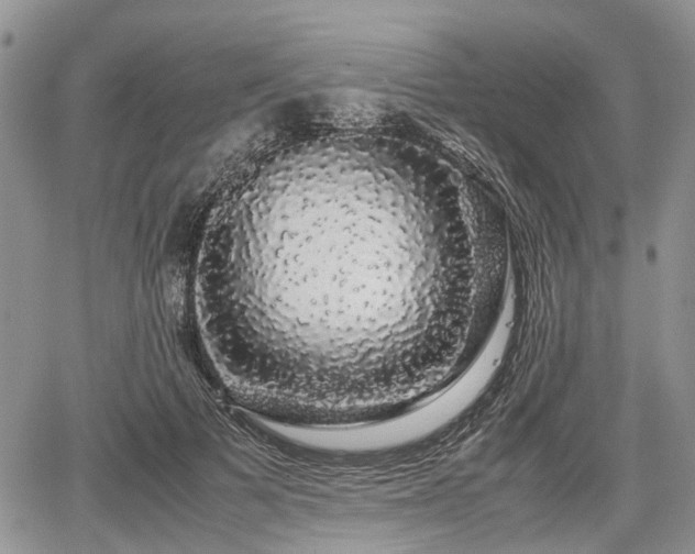 X0000067870697200604171224