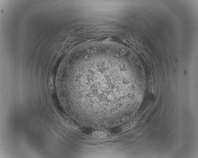 X0000067870699200604171224