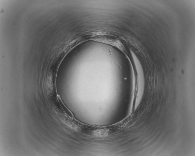 X0000067870700200604171224