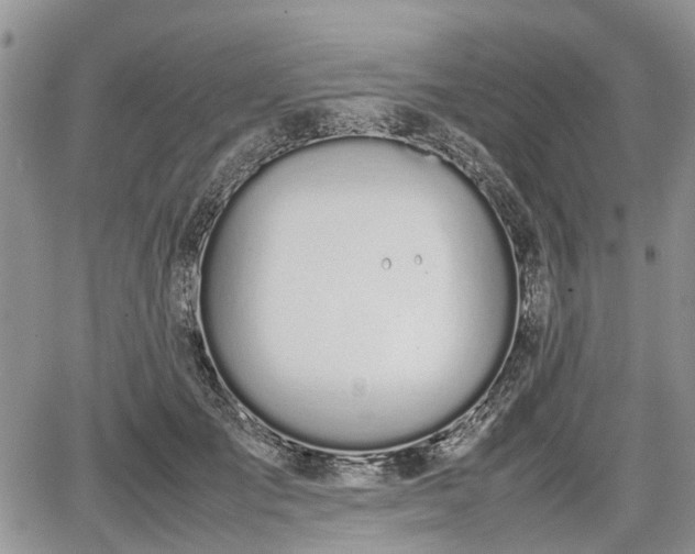 X0000067870701200604171224