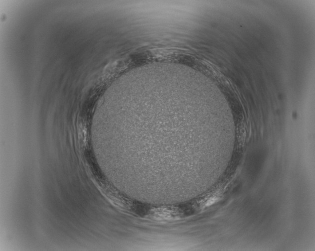 X0000067870703200604171224