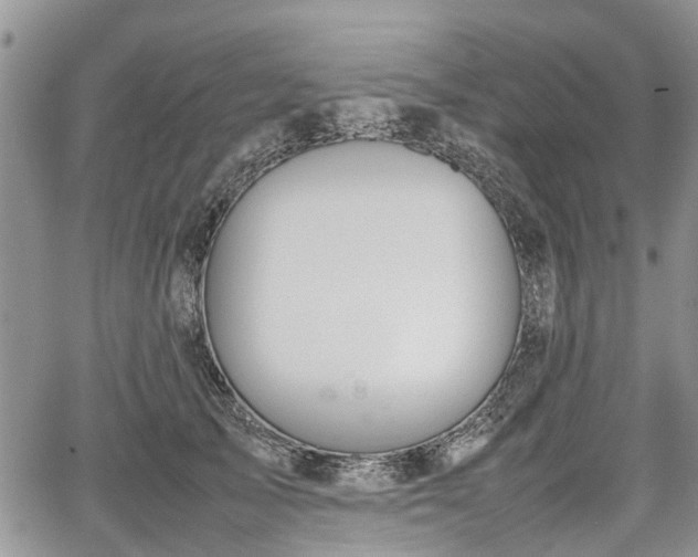 X0000067870705200604171224