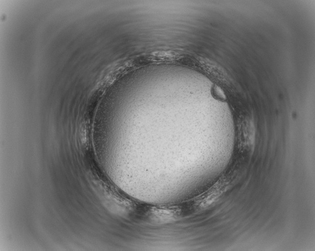 X0000067870706200604171224