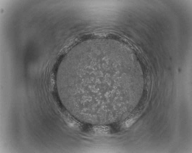 X0000067870707200604171224