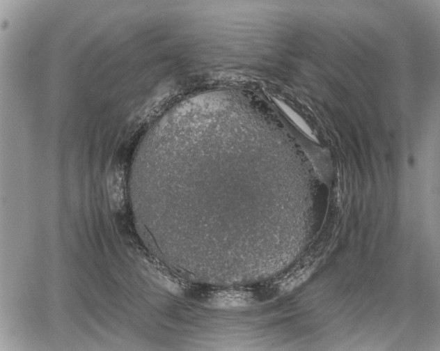 X0000067870708200604171224