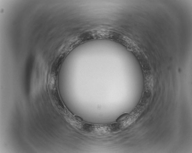 X0000067870709200604171224