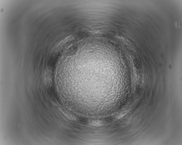 X0000067870710200604171224