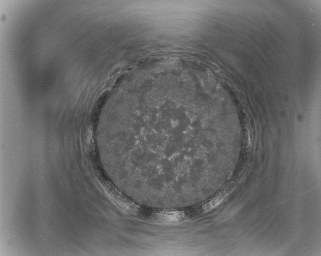 X0000067870711200604171224