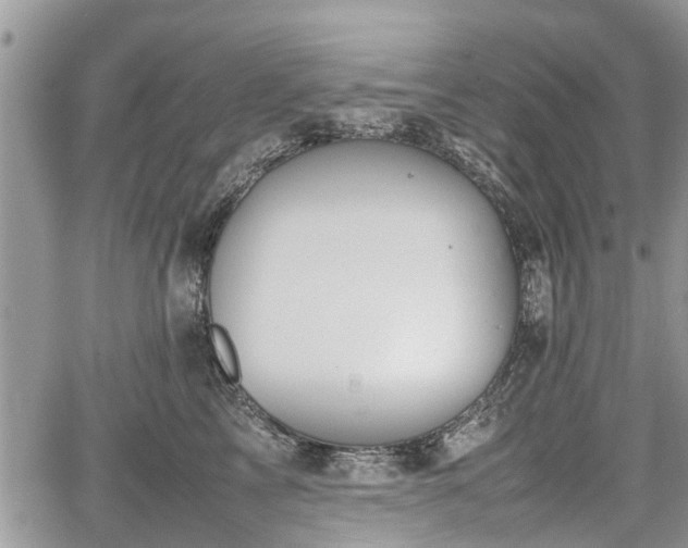 X0000067870713200604171224