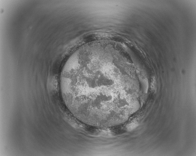 X0000067870715200604171224