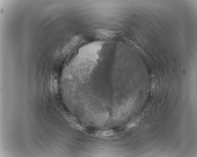 X0000067870716200604171224