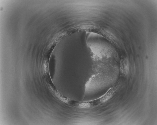 X0000067870718200604171224