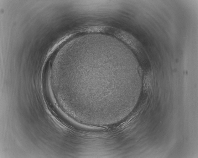 X0000067870722200604171223