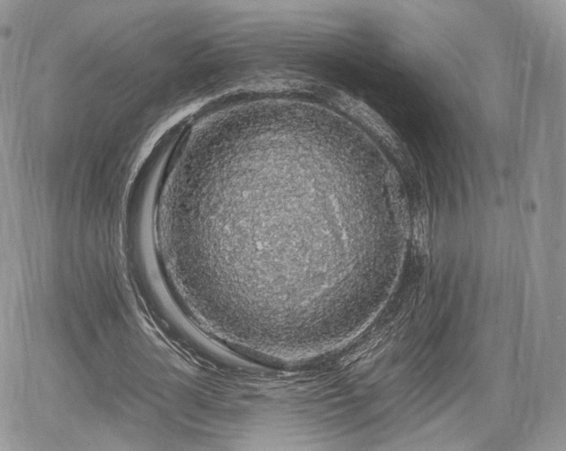 X0000067870724200604171223