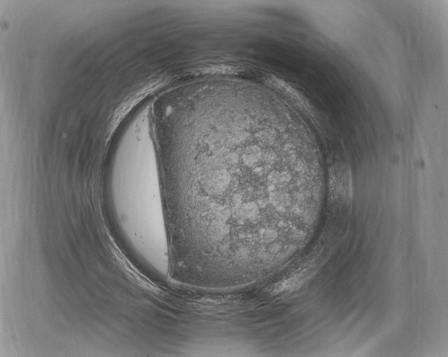 X0000067870725200604171223