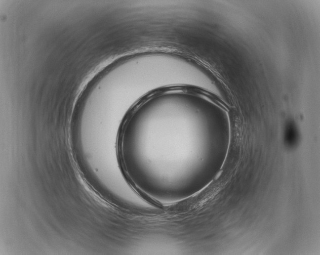 X0000067870726200604171223