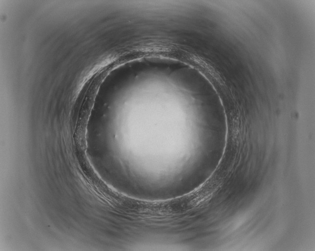 X0000067870727200604171223