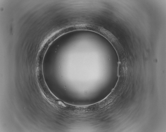 X0000067870728200604171223