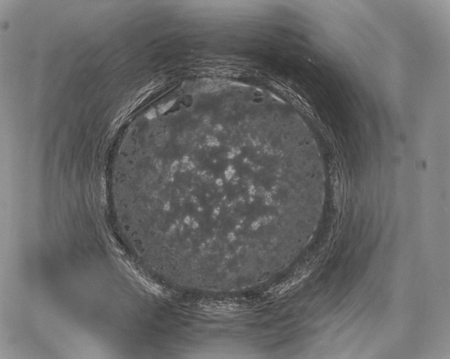 X0000067870729200604171223