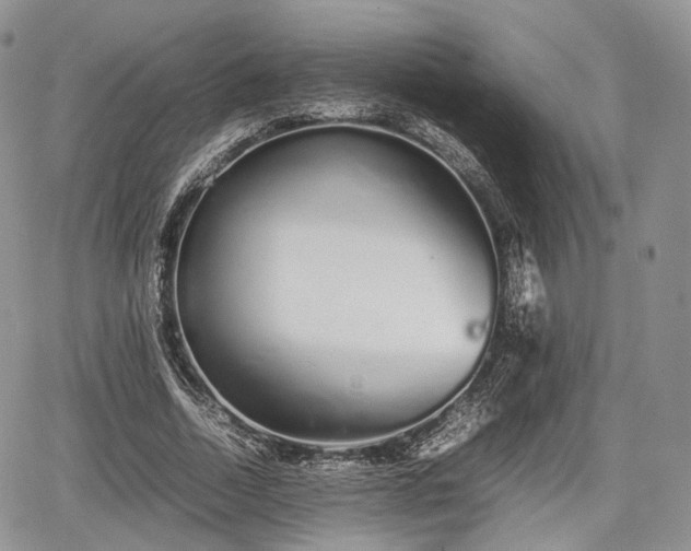 X0000067870730200604171223