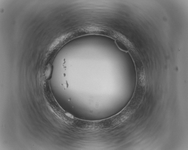 X0000067870732200604171223