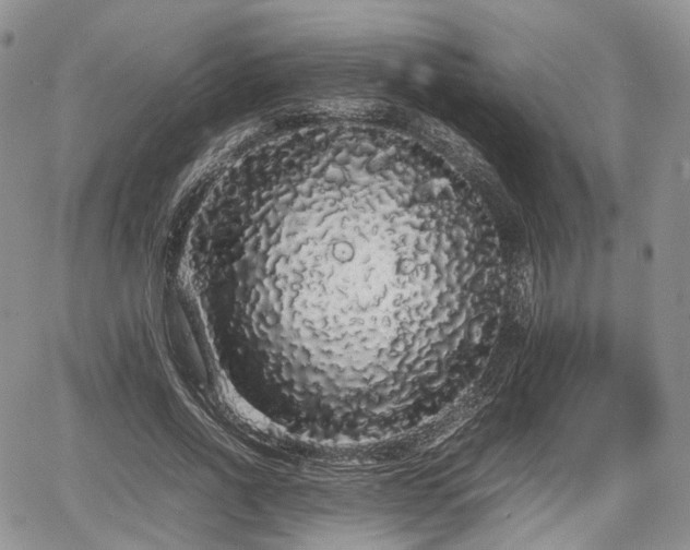 X0000067870734200604171223