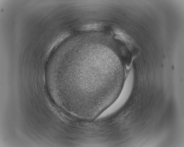 X0000067870735200604171223