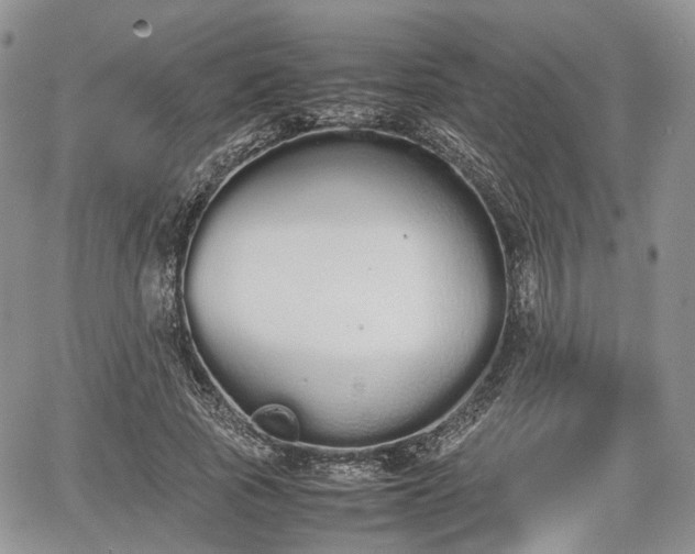 X0000067870737200604171223