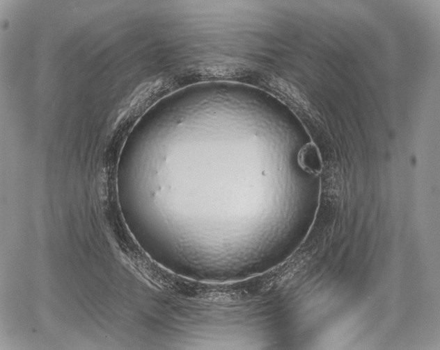 X0000067870738200604171223