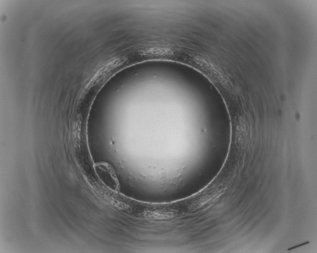 X0000067870739200604171223