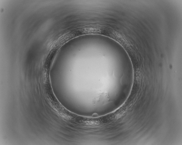 X0000067870741200604171223