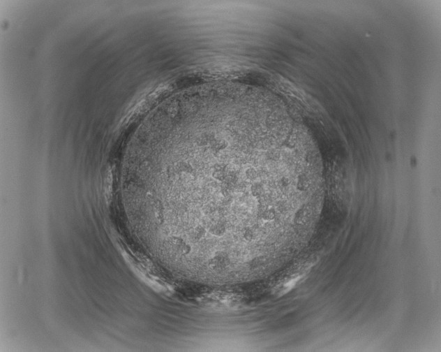 X0000067870742200604171224