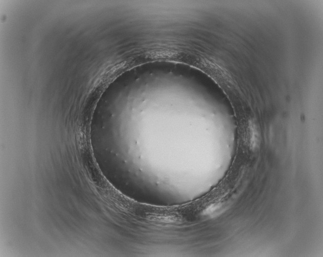 X0000067870743200604171224