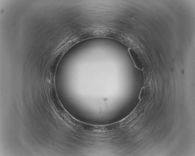 X0000067870744200604171224