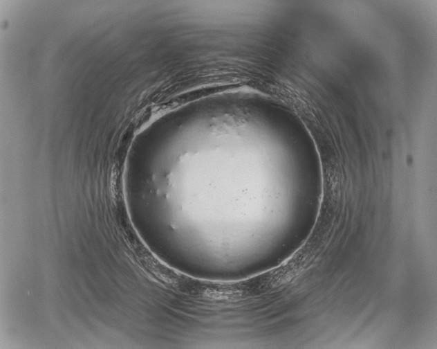 X0000067870745200604171224