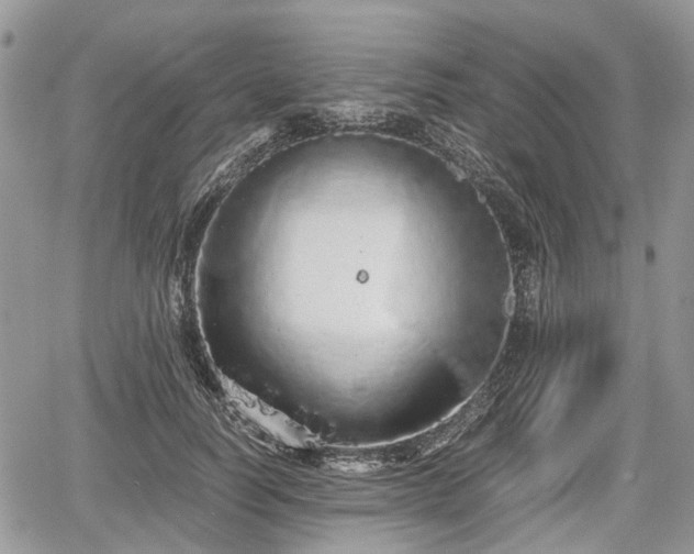 X0000067870746200604171224