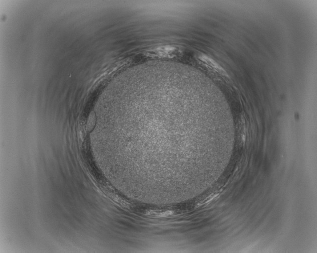 X0000067870747200604171224