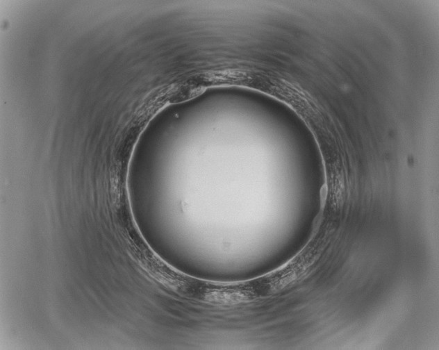 X0000067870749200604171224