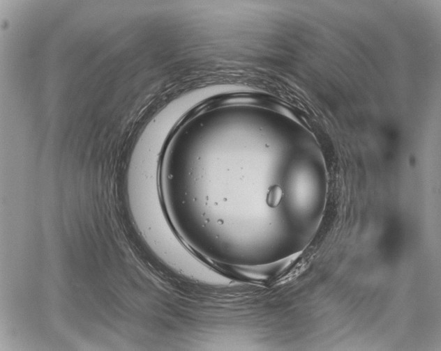 X0000067870750200604171224