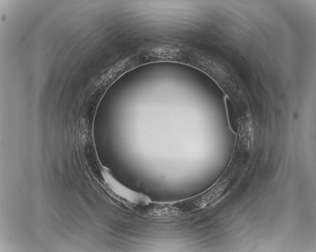 X0000067870752200604171224