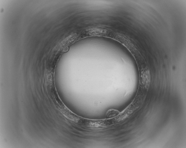 X0000067870753200604171224