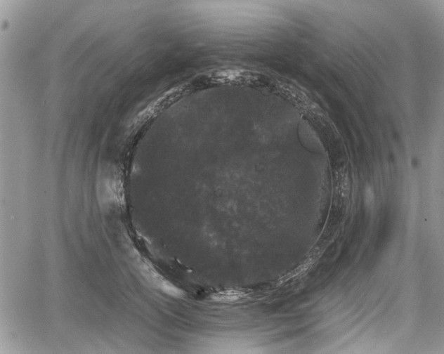 X0000067870754200604171224