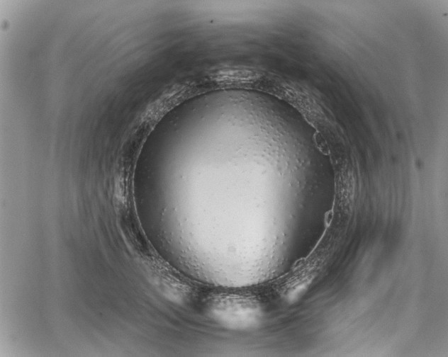 X0000067870755200604171224