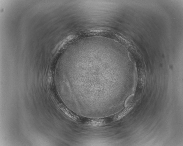 X0000067870758200604171224