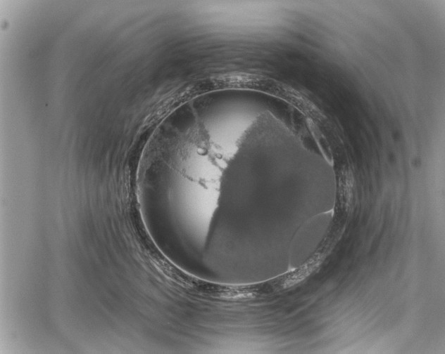 X0000067870760200604171224