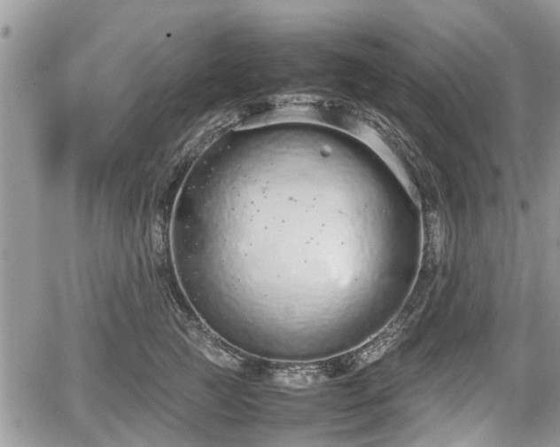 X0000067870761200604171224