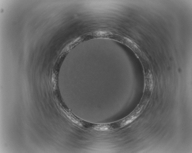 X0000067870762200604171224