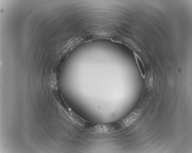 X0000067870764200604171224