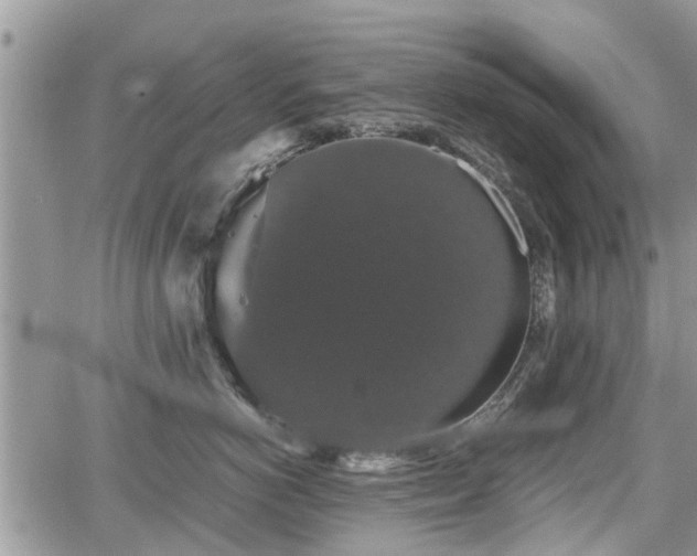 X0000067870766200604171224