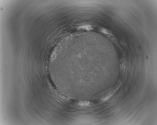 X0000067870767200604171224